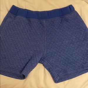 Chubbies blue shorts